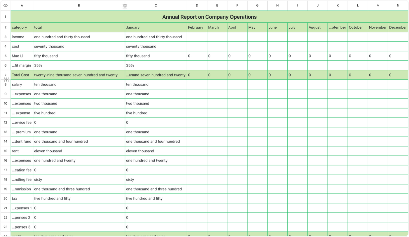 Annual Report on Company Operations